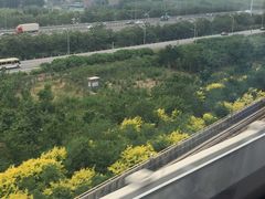 -大同云冈美高大酒店