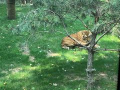 -北京野生动物园