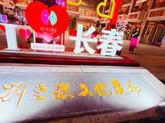 -刘老根大舞台-长春旗舰店
