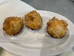 -丁老爷子苏香圆