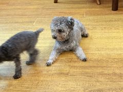 -观桥阁(锦溪店)