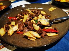 -松赞拉萨林卡酒店