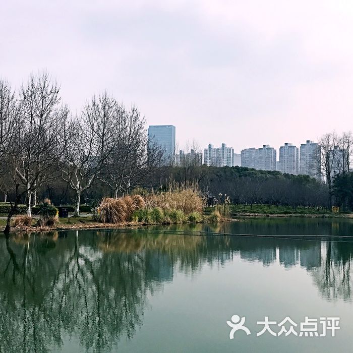 世纪公园图片-北京公园-大众点评网