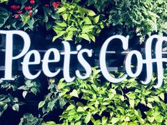 -Peet's Coffee皮爷咖啡(大学路店)