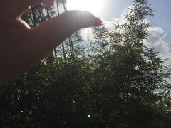 -龙潭水乡