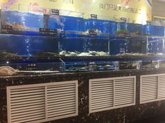 水产区-河马鲜生海鲜超市(风荷园店)