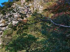 -白云源风景区