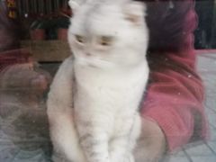 -无味饭店(九眼桥商业文化广场店)