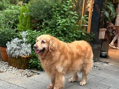 -自由生长植物工作室(深港花卉中心店)