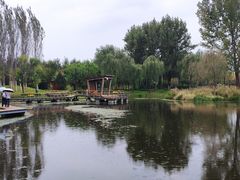 -东郊湿地公园
