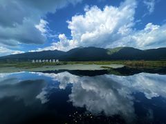 -腾冲北海湿地