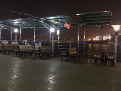 -武汉关码头(轮渡站)