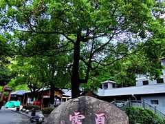 -夏霖九天银瀑风景区