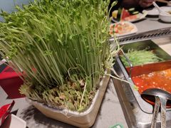 -海底捞火锅(吾悦广场店)