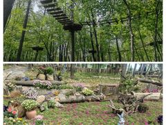 -沂蒙山旅游区云蒙景区(蒙山国家森林公园)