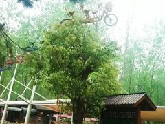 -合肥滨湖国家森林公园