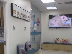 -美联众合动物医院·24h京西诊疗中心
