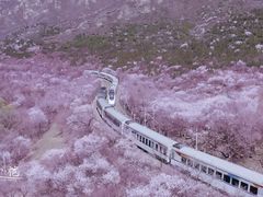 -居庸关长城