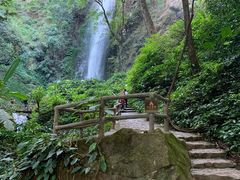 -莫里热带雨林景区