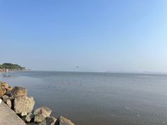 -深圳湾公园(南山区)