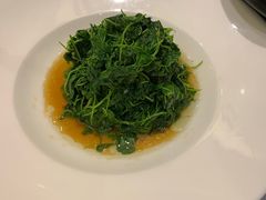 -沪碟·精菜坊(闵行店)