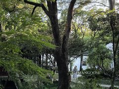 -上海醉白池公园