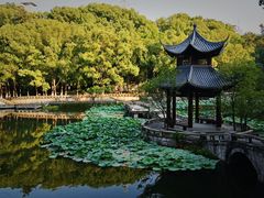 -忠山公园