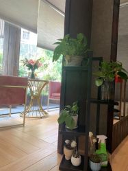 -香秀空间科技抗衰·美容中心