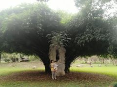 -汉水公园