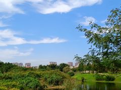 -眉山湿地公园(东坡区)