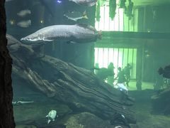 -华夏文旅海洋公园