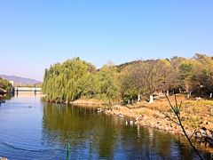 -北京张裕爱斐堡酒庄