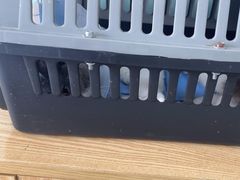 -中农大我爱我爱动物医院·核磁CT·猫病·24小时夜诊中心(石佛营店)