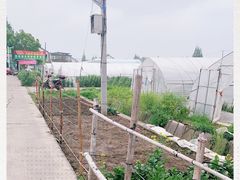 -小鱼草莓采摘园农家乐·小鱼餐厅