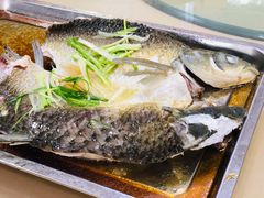 蒸泉水瘦身鱼-桂花园农庄
