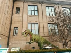 -国家自然博物馆