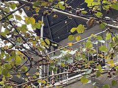 -老王小吃(大林沟路店)