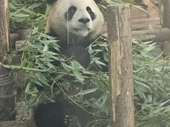 -五龙山野生动物王国