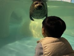 -大连圣亚海洋世界