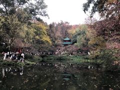 -岳麓山风景名胜区