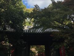 -醍醐寺