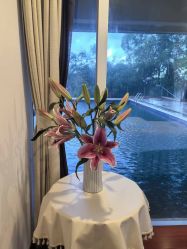 -爱丽馨御景月子中心