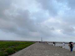 -南汇嘴观海公园