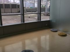 -大果情商(亲藤店)