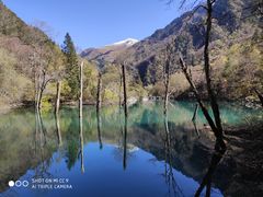 -叠溪松坪沟景区