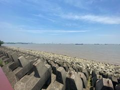 -上海滨江森林公园