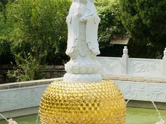 -泰山风景名胜区-普照寺