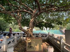 -潭柘寺景区