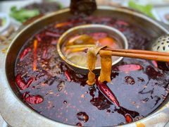 -枇杷园食为鲜火锅(南山店)