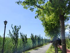 -永定河休闲森林公园